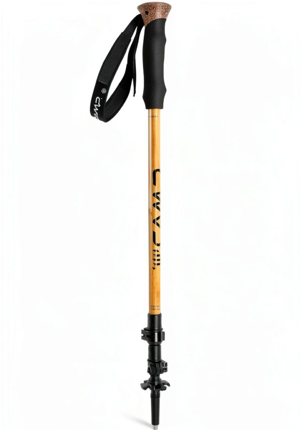 Bastoncino da trekking C.A.M.P. Grigio antracite / Beige-0