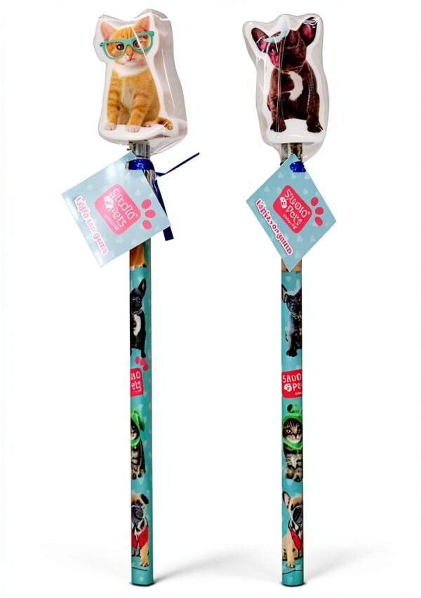 C Y P-0 Matita con Gomma Decorata Studio Pets Multicolore 0mm-0